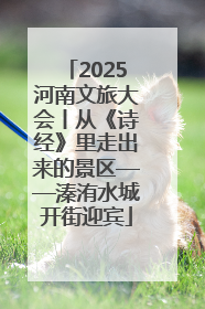 2025河南文旅大会丨从《诗经》里走出来的景区——溱洧水城开街迎宾