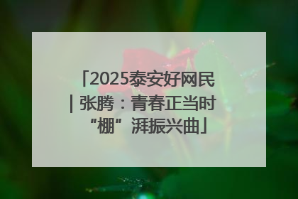 2025泰安好网民｜张腾：青春正当时 “棚”湃振兴曲