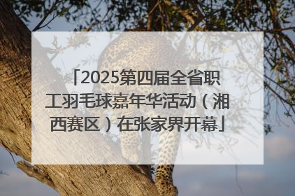 2025第四届全省职工羽毛球嘉年华活动（湘西赛区）在张家界开幕