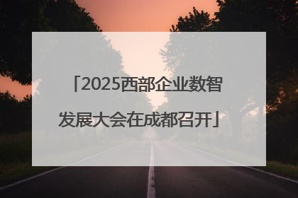 2025西部企业数智发展大会在成都召开