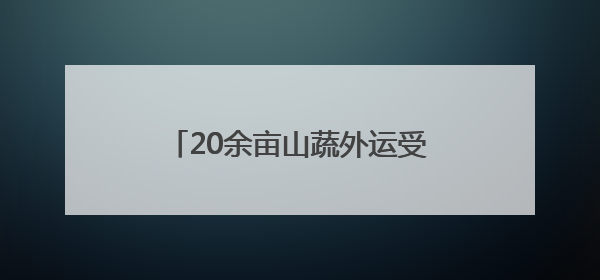 20余亩山蔬外运受阻 无人机极限飞行8小时转运6吨蔬菜