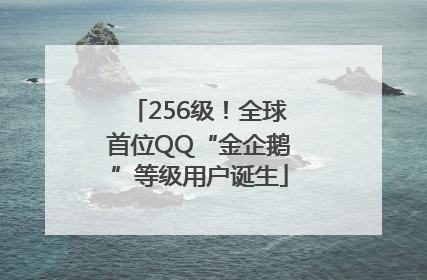 256级！全球首位QQ“金企鹅”等级用户诞生