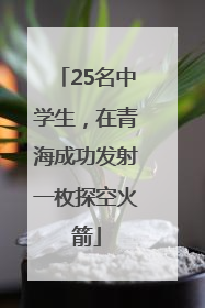 25名中学生，在青海成功发射一枚探空火箭