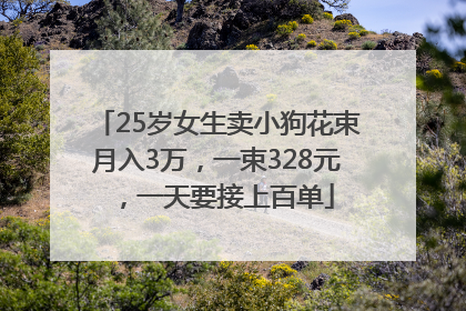 25岁女生卖小狗花束月入3万，一束328元，一天要接上百单