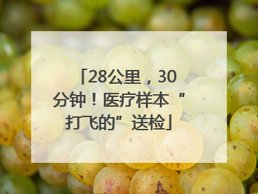 28公里，30分钟！医疗样本“打飞的”送检