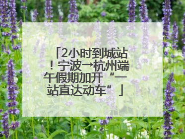 2小时到城站！宁波→杭州端午假期加开“一站直达动车”