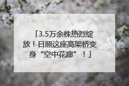 3.5万余株热烈绽放！日照这座高架桥变身“空中花廊”！