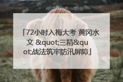 72小时入梅大考 黄冈水文 "三精"战法筑牢防汛屏障