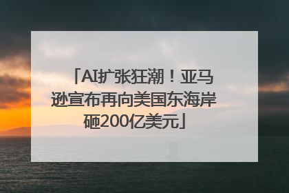 AI扩张狂潮！亚马逊宣布再向美国东海岸砸200亿美元