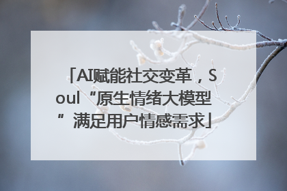 AI赋能社交变革，Soul“原生情绪大模型”满足用户情感需求
