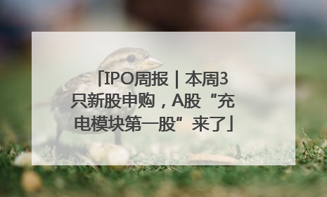 IPO周报｜本周3只新股申购，A股“充电模块第一股”来了