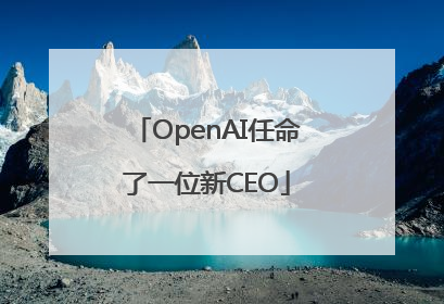 OpenAI任命了一位新CEO
