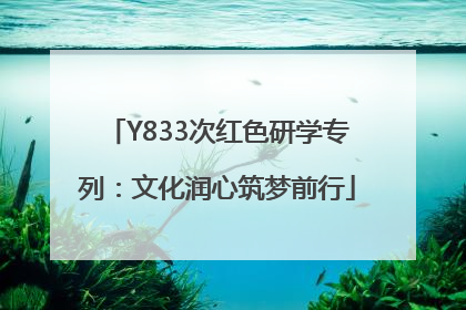 Y833次红色研学专列：文化润心筑梦前行